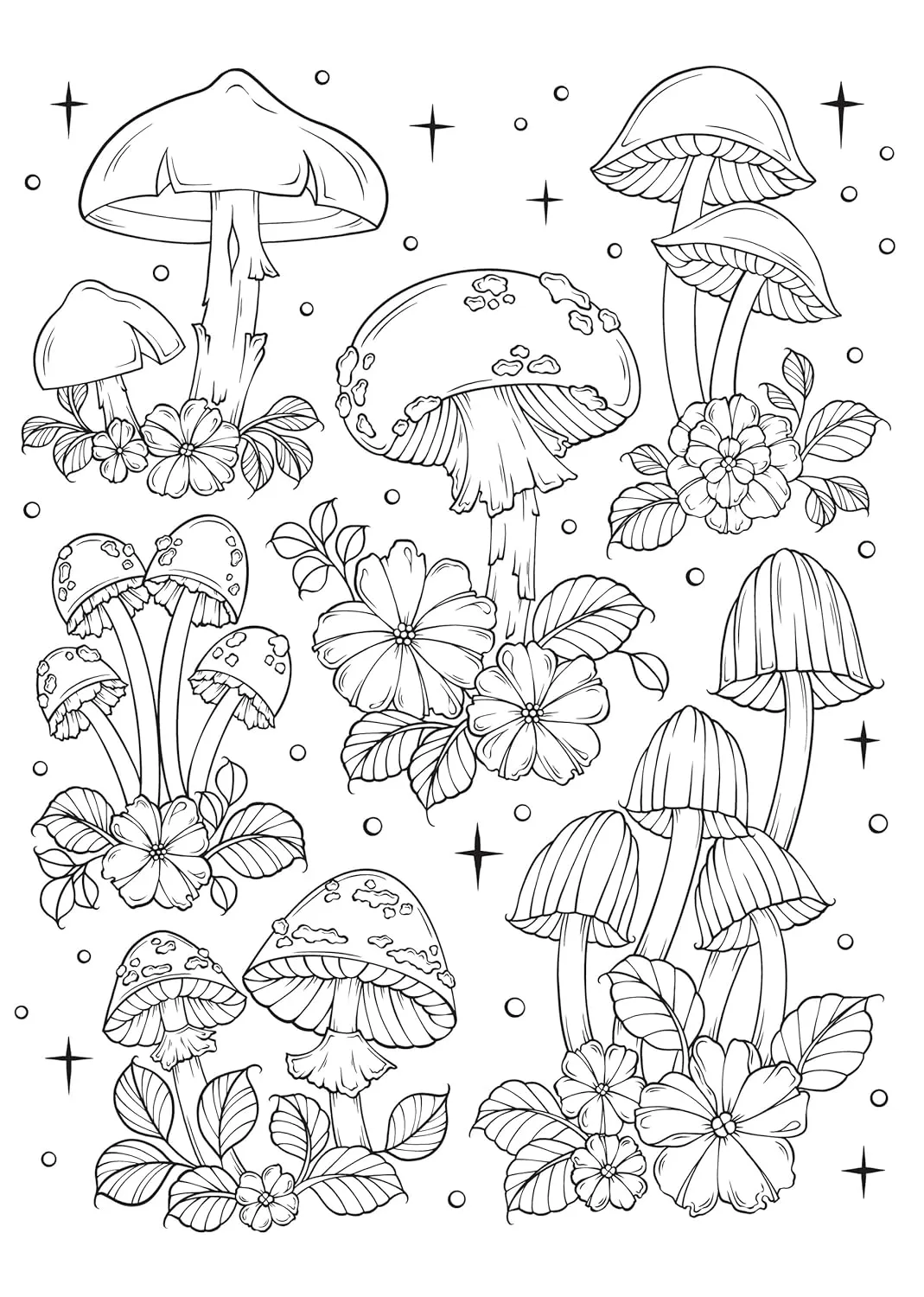 Art Of Mushrooms Coloring Book Creative Haven