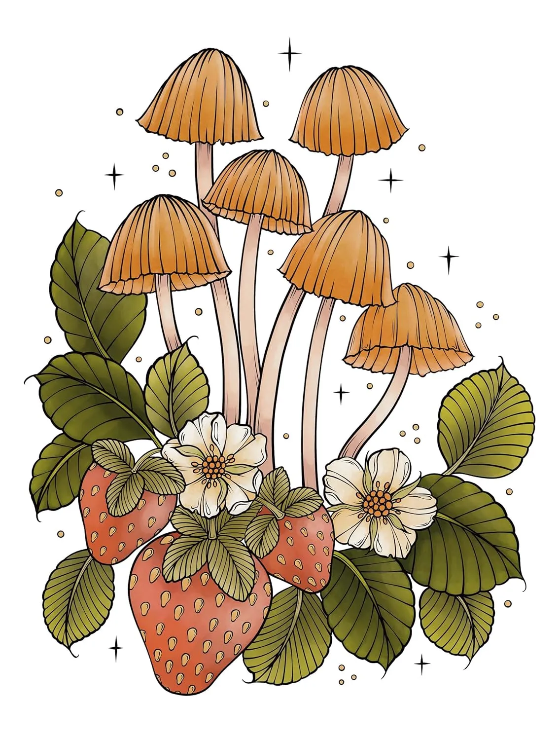 Art Of Mushrooms Coloring Book Creative Haven