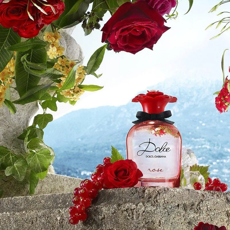 Dolce & Gabbana Rose